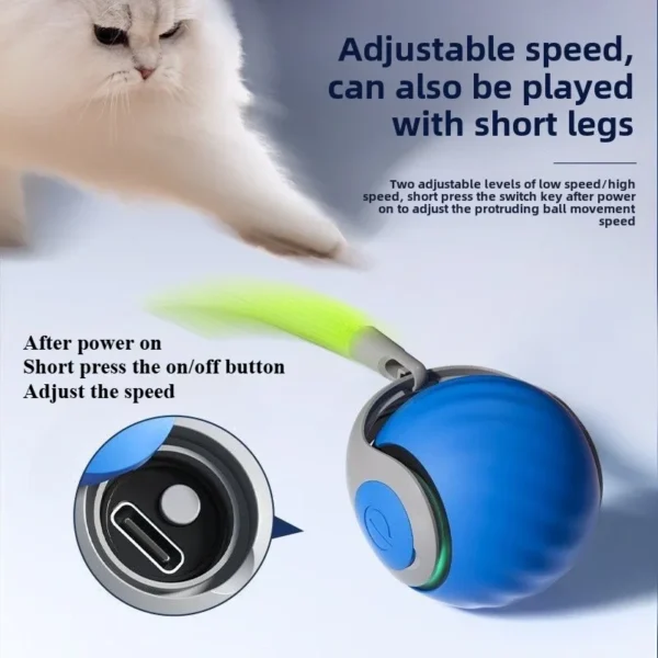 2024 new interactive cat toy ball 3