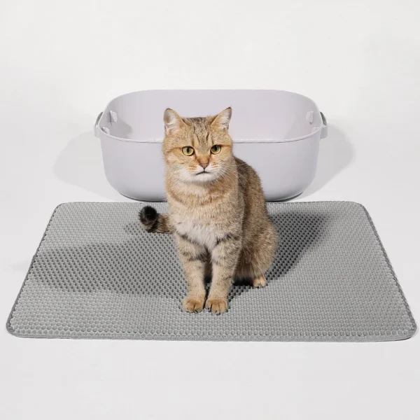 cat litter mat double layer non slip