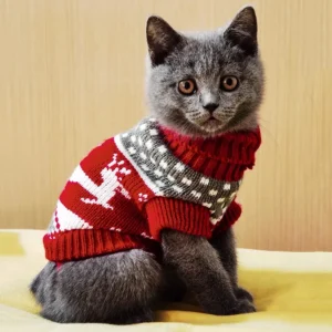 cute cat sweater costume pet clothes 9