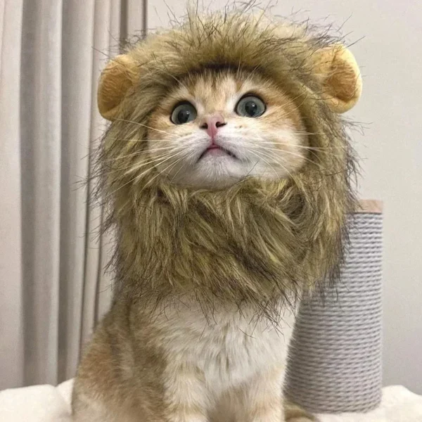 cute lion costume for cats 3