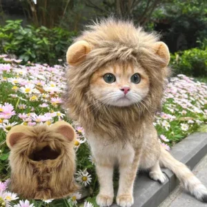 cute lion costume for cats 6