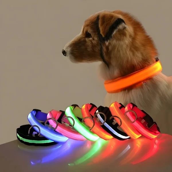 dog collar nylon led night glow in the dark 10