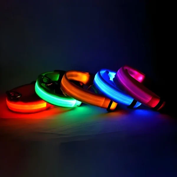 dog collar nylon led night glow in the dark 5