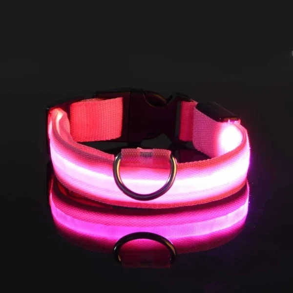 dog collar nylon led night glow in the dark 6