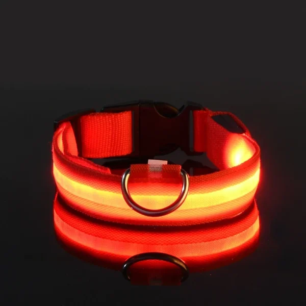 dog collar nylon led night glow in the dark 7