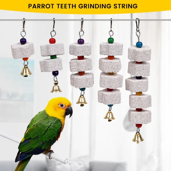 parrot beak grinding calcium stone with bells 5