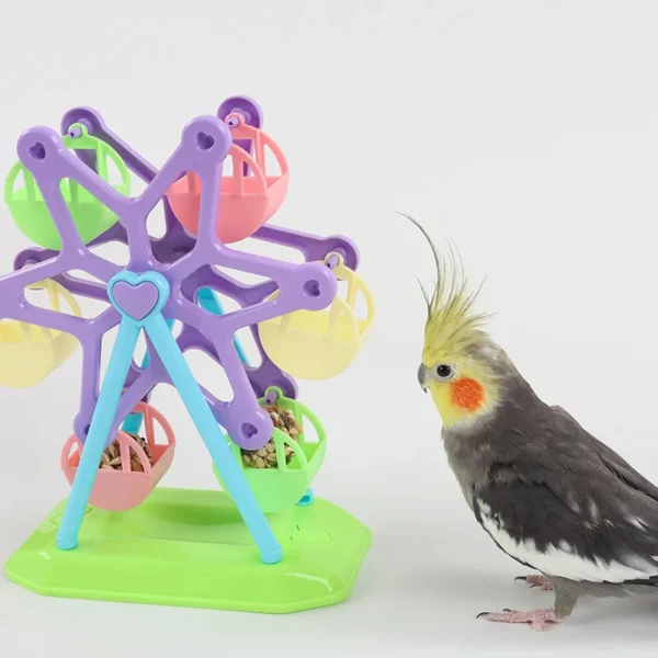 parrot ferris wheel feeding toy 3