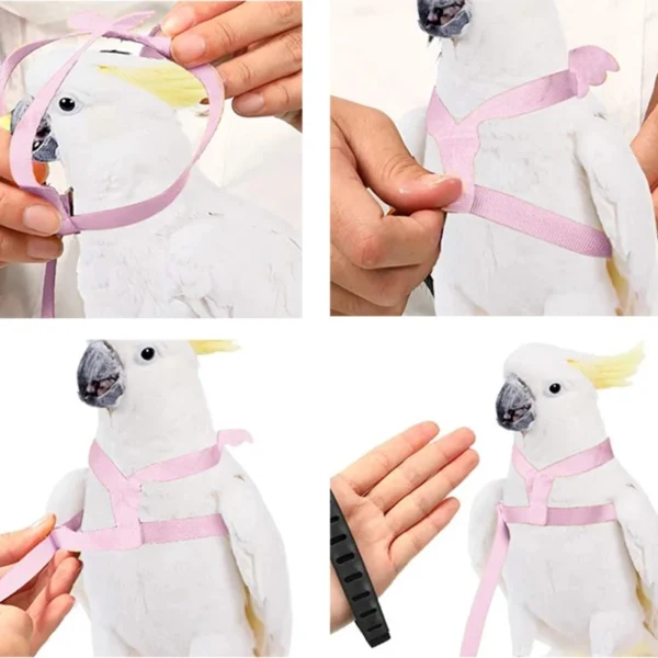 parrot flying harness leash 6