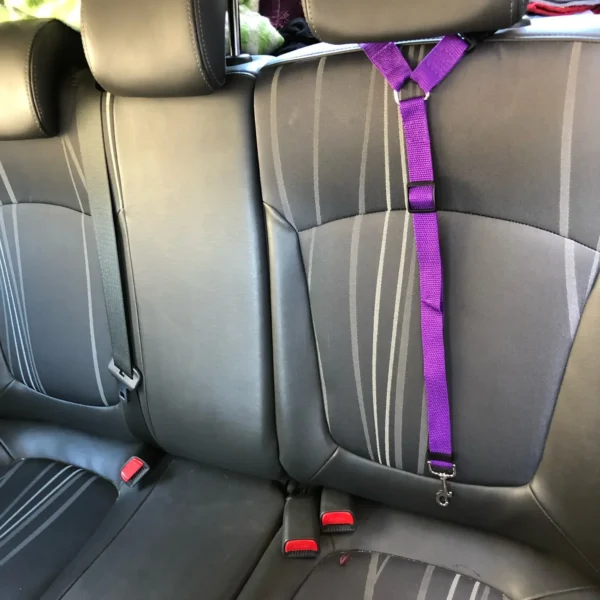 pet car seat belt two in one nylon leash 11