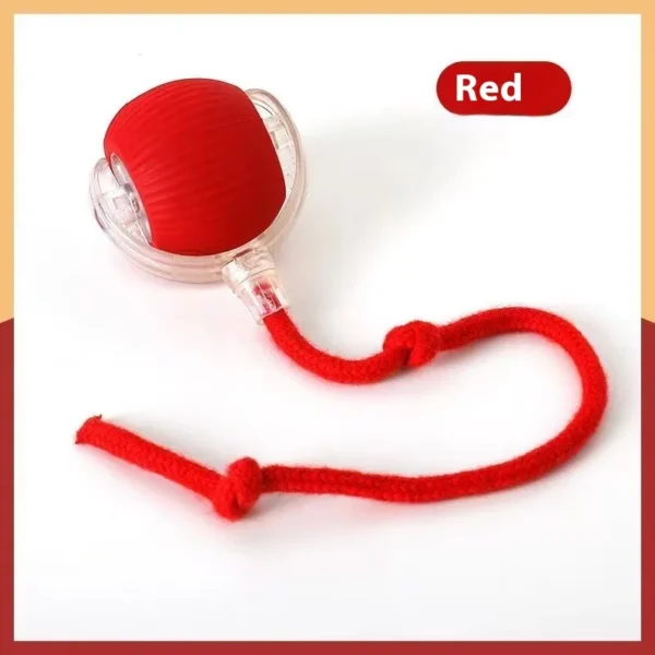 rechargeable interactive smart pet toy 3