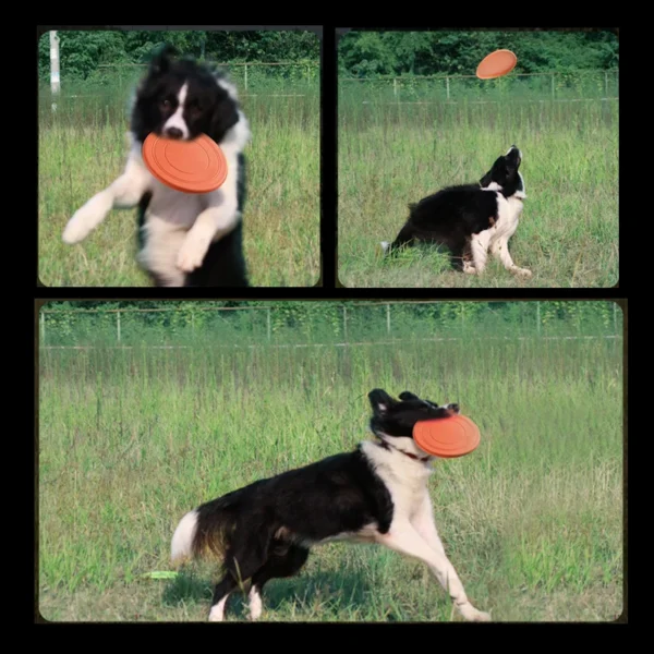 rubber flying saucer interactive dog toy 11