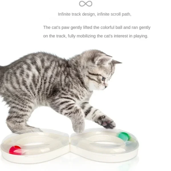 turntable small cat tunnel sports set 2