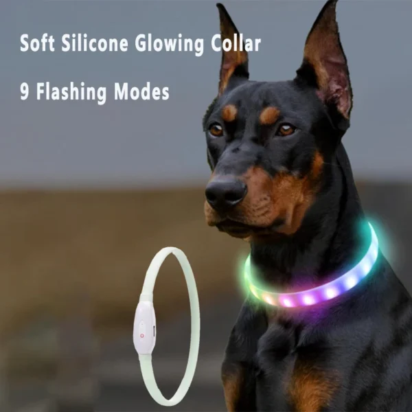 usb rechargeable glowing collar for dogs 2