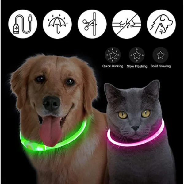 usb rechargeable led glowing dog collar 1