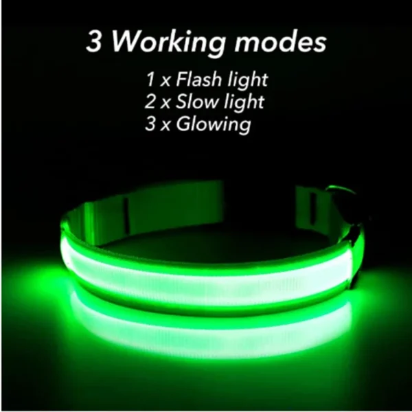 usb rechargeable led glowing dog collar 2