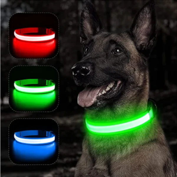 usb rechargeable led glowing dog collar 3