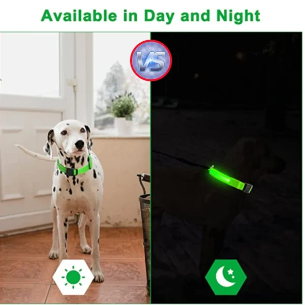 usb rechargeable led glowing dog collar 4