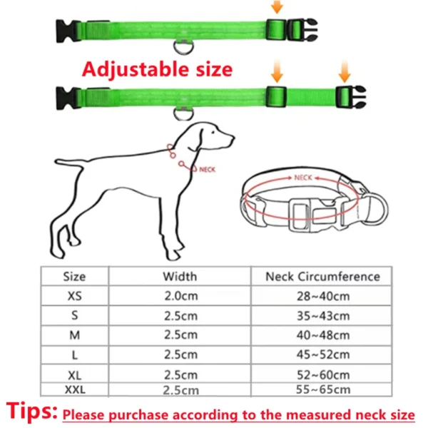 usb rechargeable led glowing dog collar 6