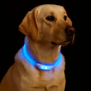 New LED Dog Collar USB Rechargeable,3 Mode Adjustable Glowing Dog Collar for Night Walking,Safe Reflective Pet Collar Kf Se7bcb67af54e4606b431deb64d021424f